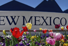new mexico tech