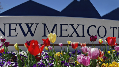 new mexico tech